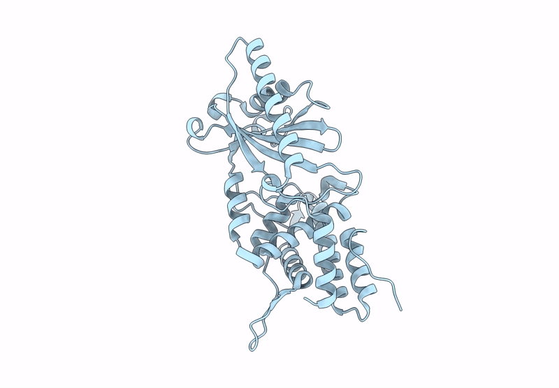 8YSS image