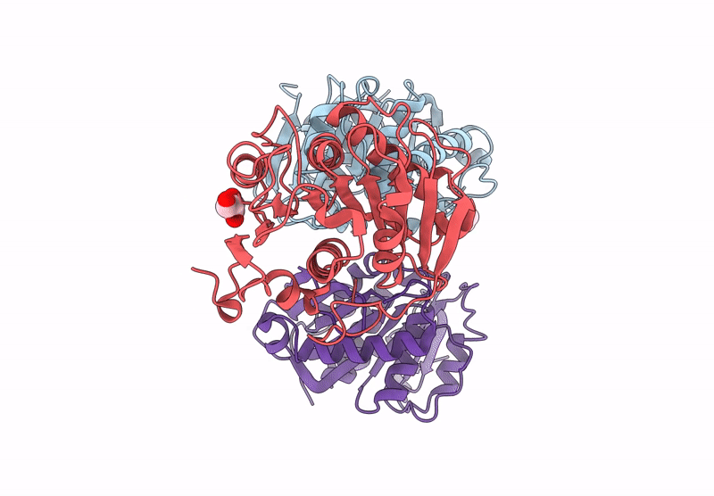 8YTU image
