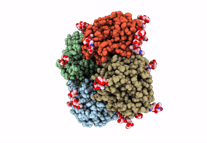 8YVM image