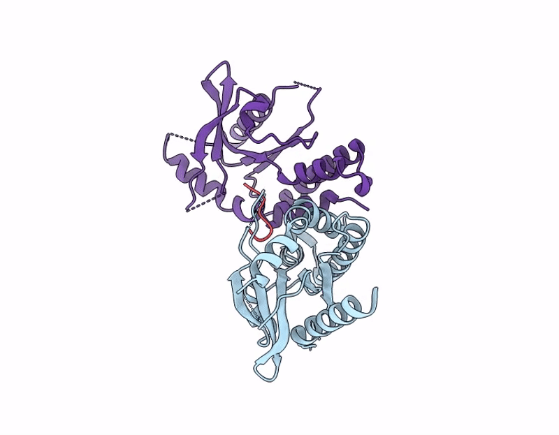 8YWB image
