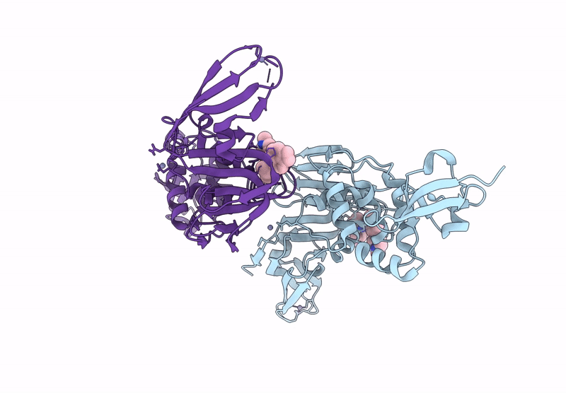 8YX2 image