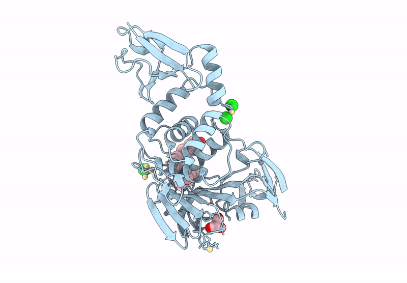 8YX4 image