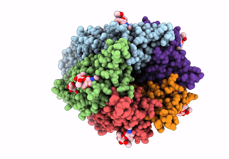 8YX6 image