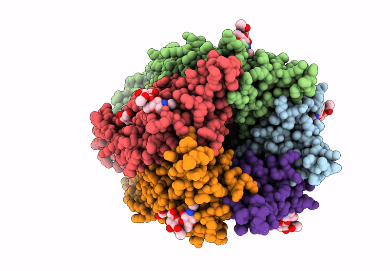 8YX8 image