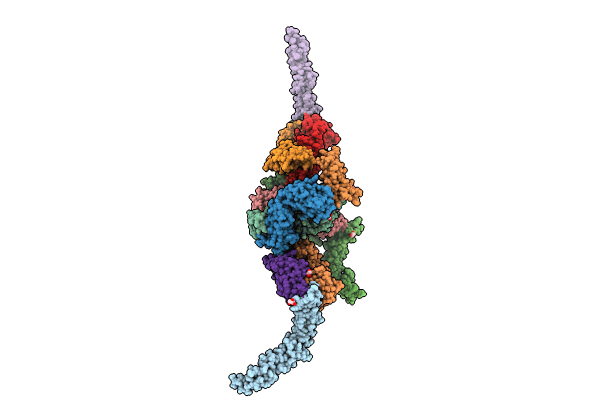 8YX9 image