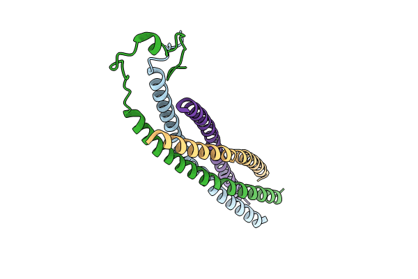 8YXR image