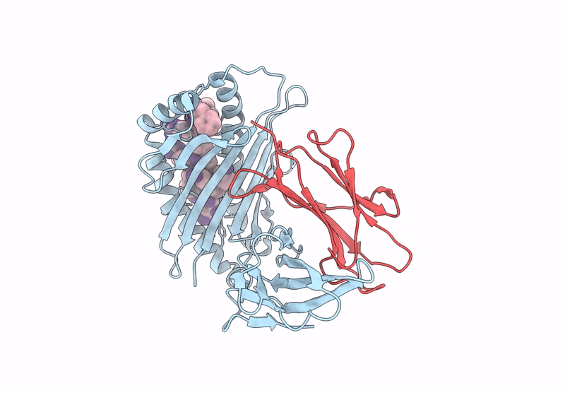 8Z07 image