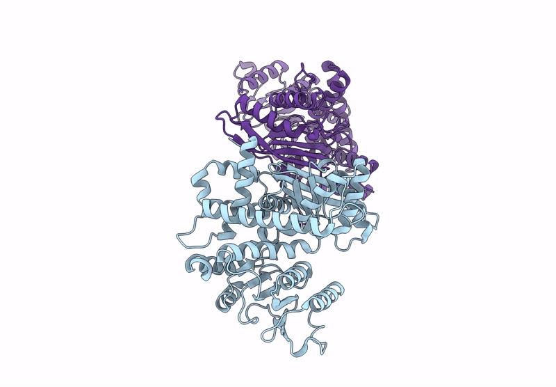 8Z2A image