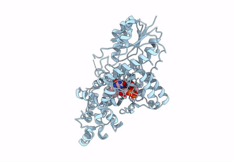 8Z2D image