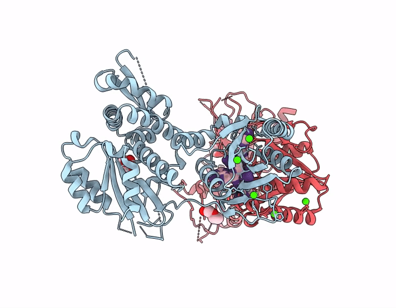 8Z4I image