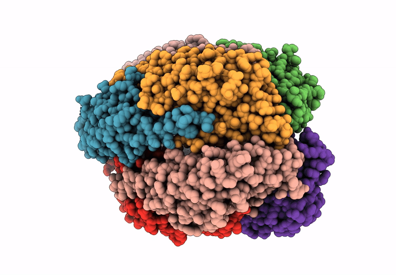 8Z7A image