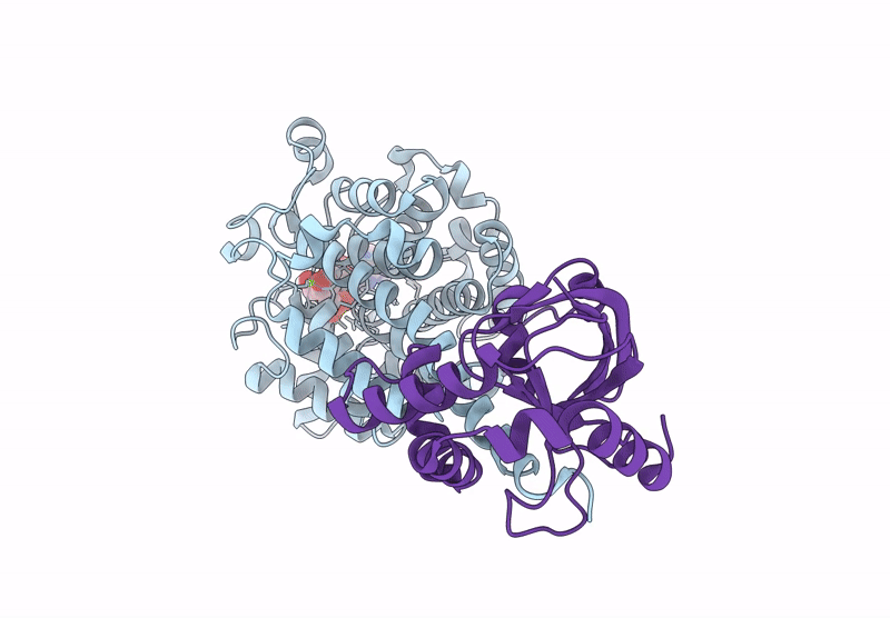 8ZA7 image