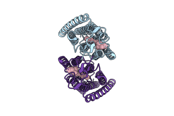 8ZAN image