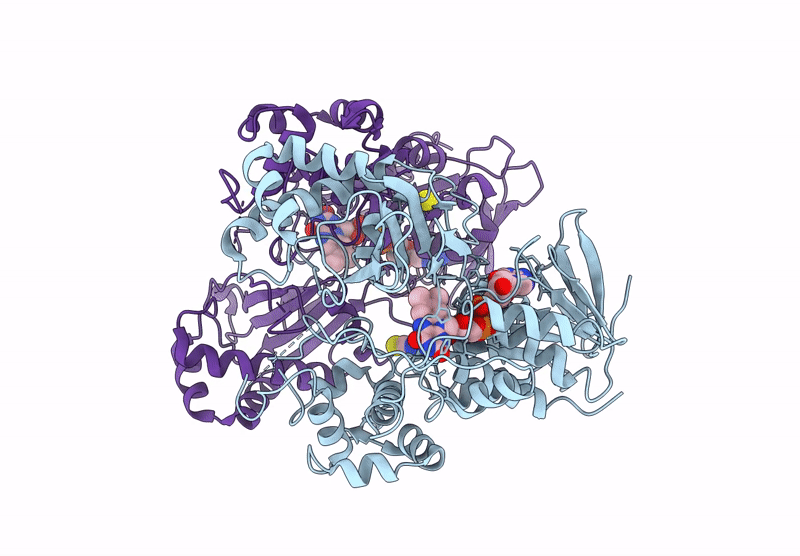 8ZB2 image