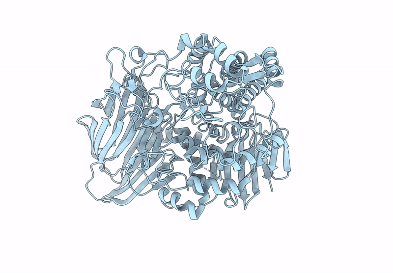 8ZBV image