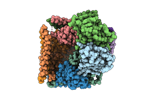 8ZD6 image