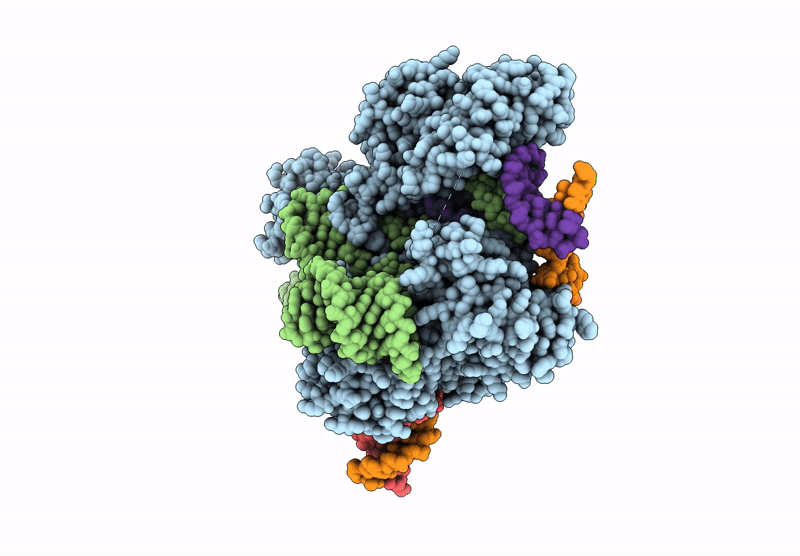 8ZDA image