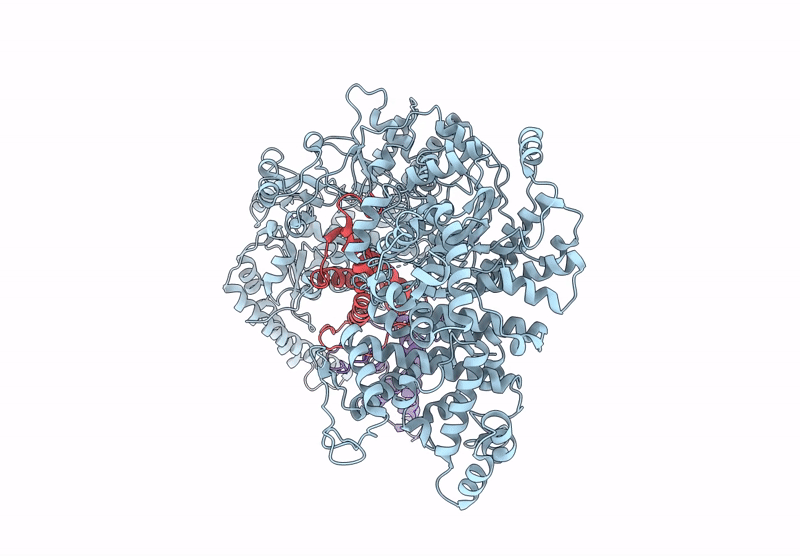 8ZEK image