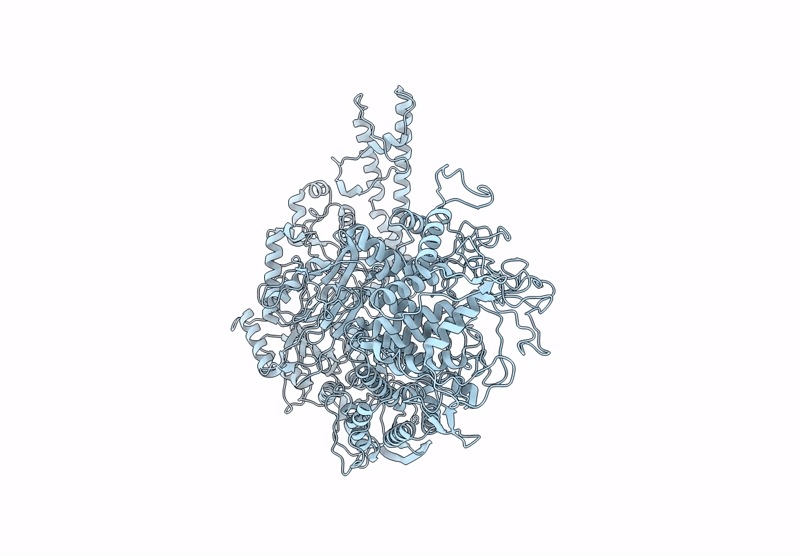 8ZEQ image