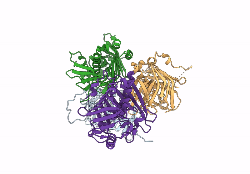 8ZEV image