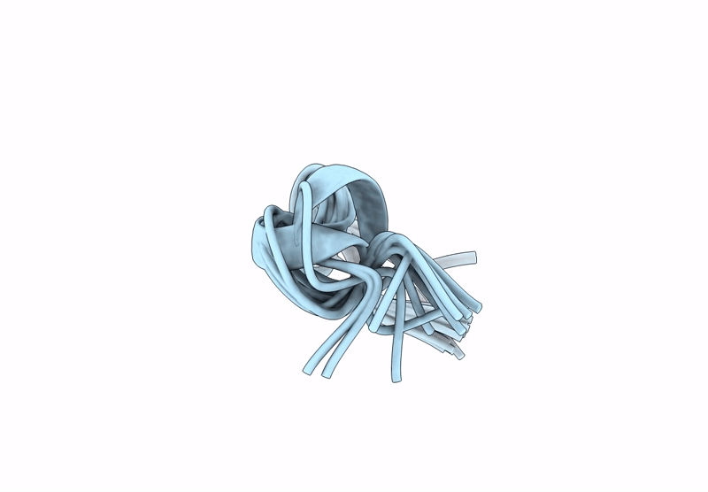 8ZG4 image