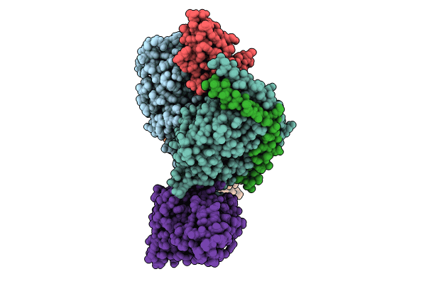 8ZH8 image