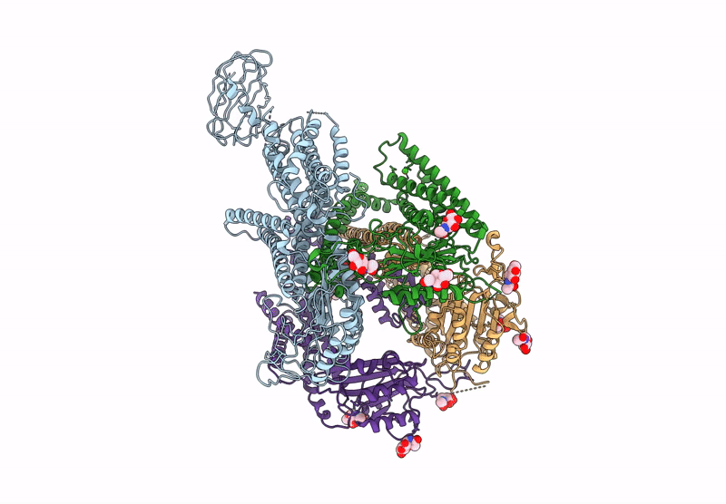8ZKH image