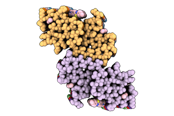 8ZLI image