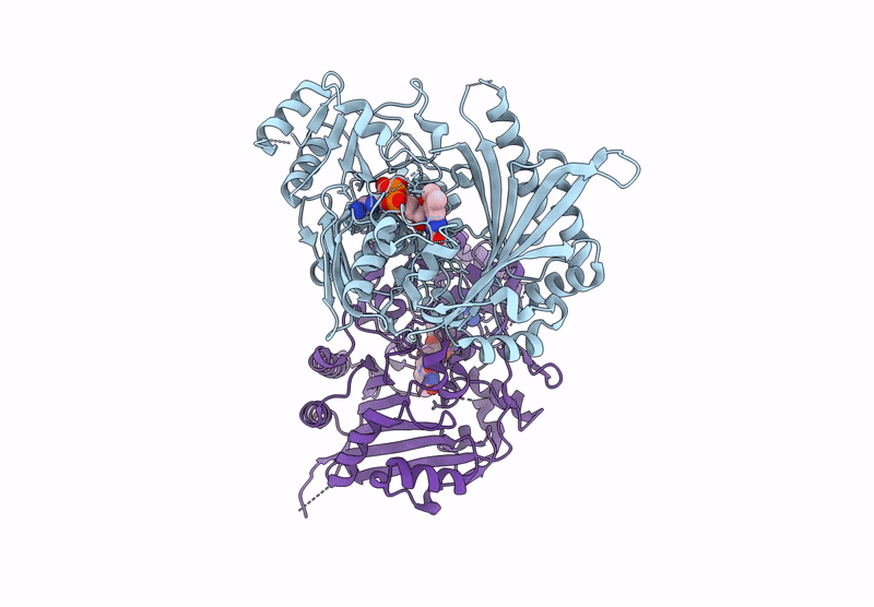 8ZLS image
