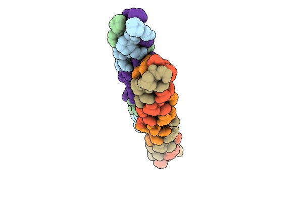 8ZMO image