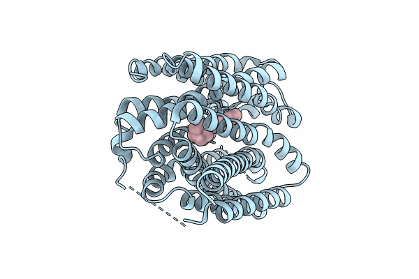 8ZMR image