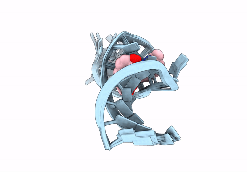 8ZNQ image