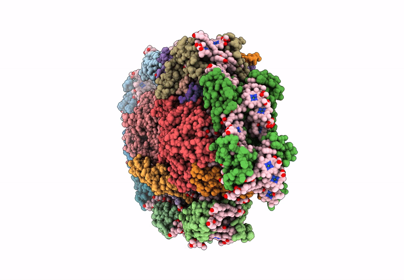 8ZOC image