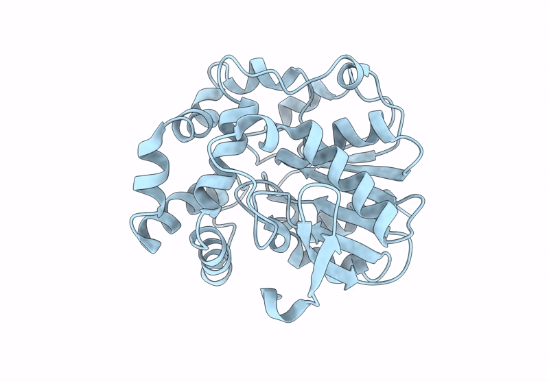 8ZP6 image
