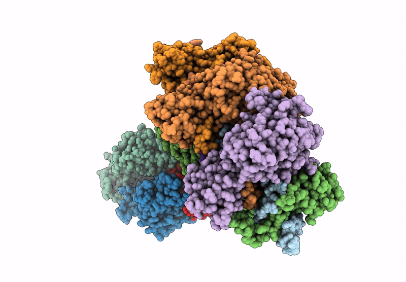 8ZP7 image