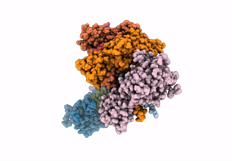 8ZP9 image
