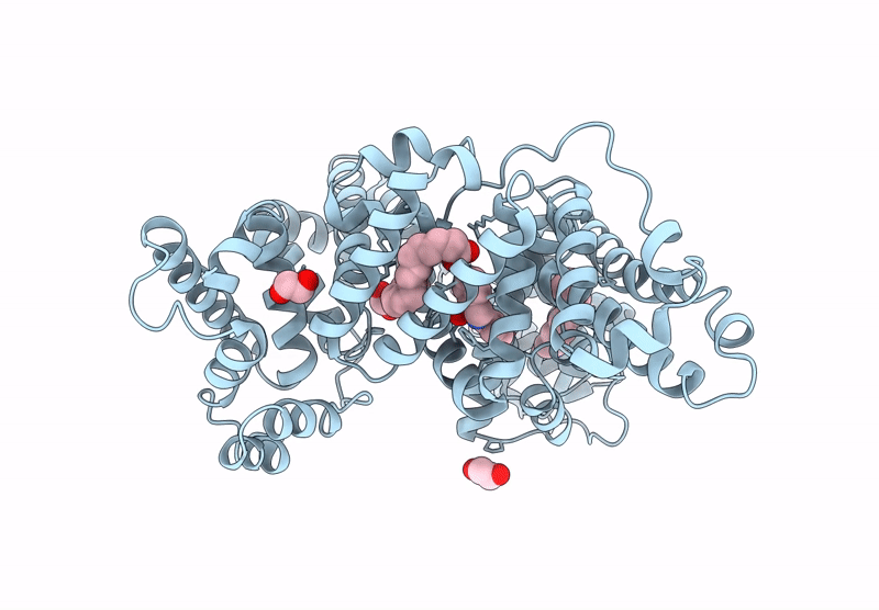 8ZPA image