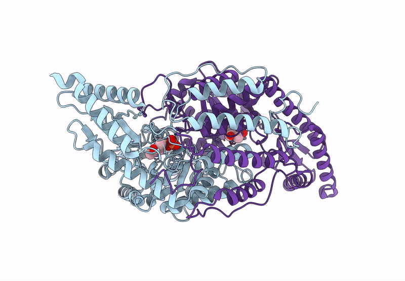 8ZPI image