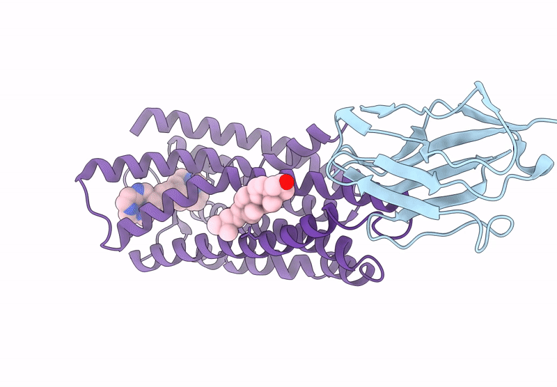 8ZPN image