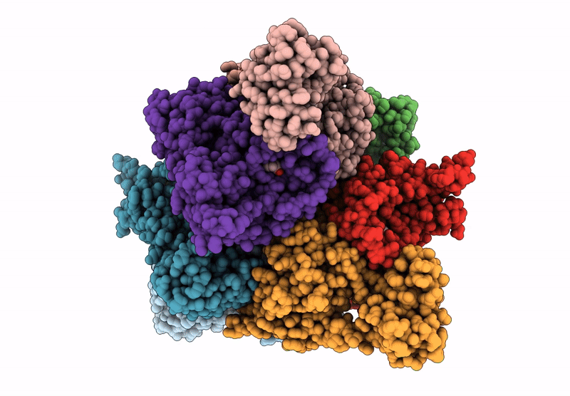 8ZPR image