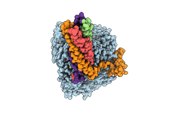 8ZPV image