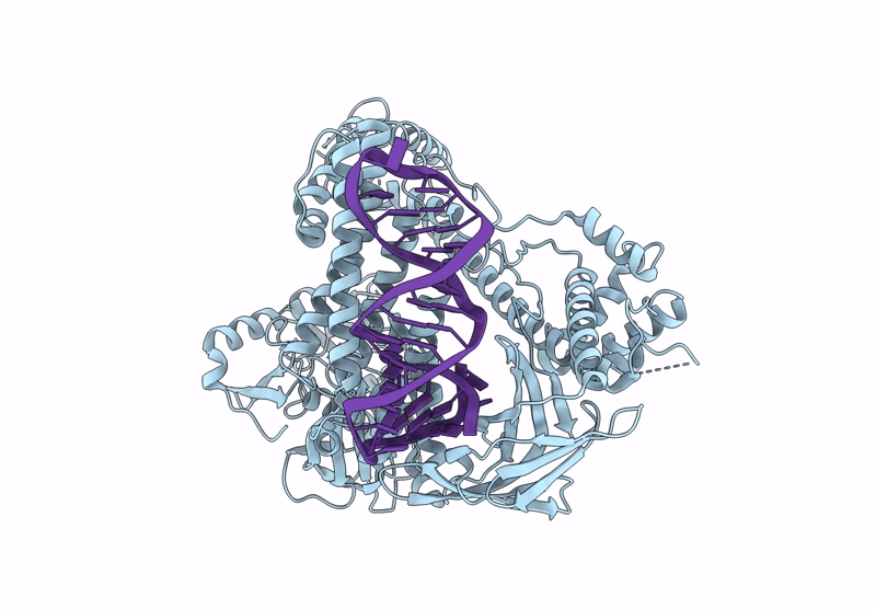 8ZQB image