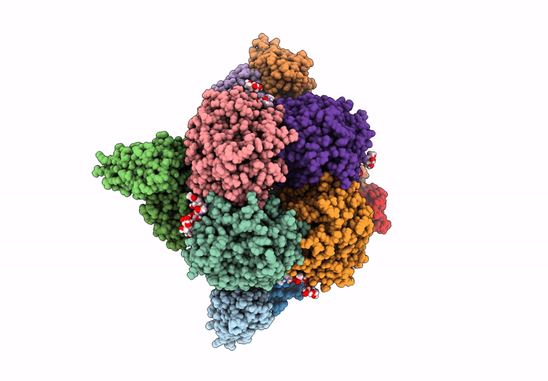8ZR4 image