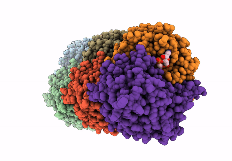 8ZR9 image