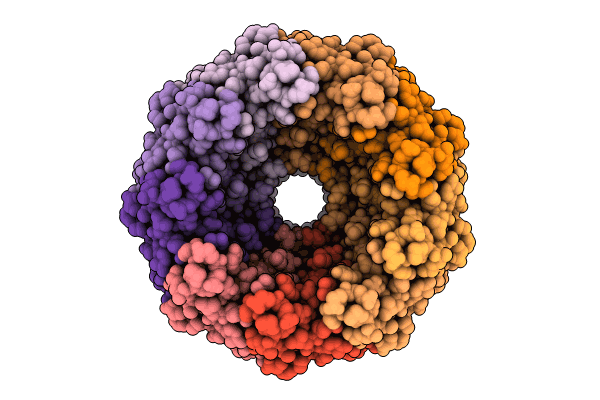 8ZRA image