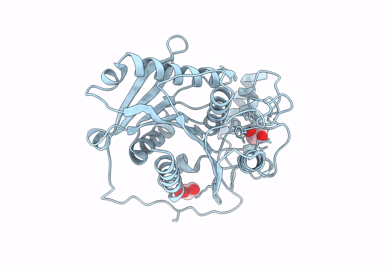 8ZRF image