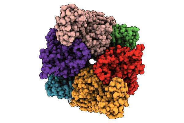 8ZRI image