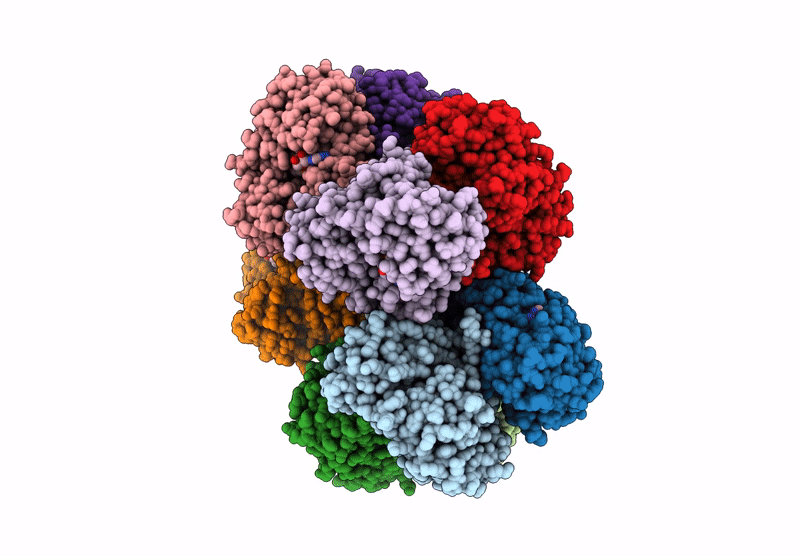 8ZRL image