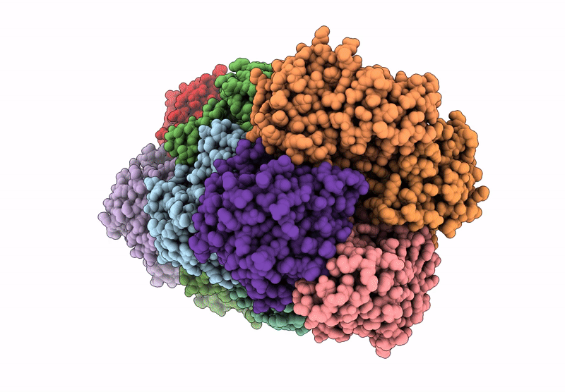 8ZSF image