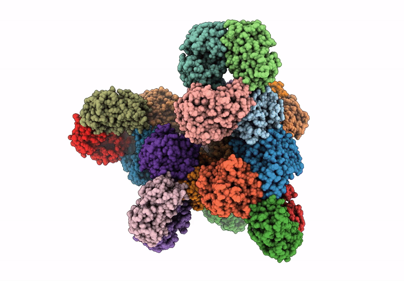8ZSG image